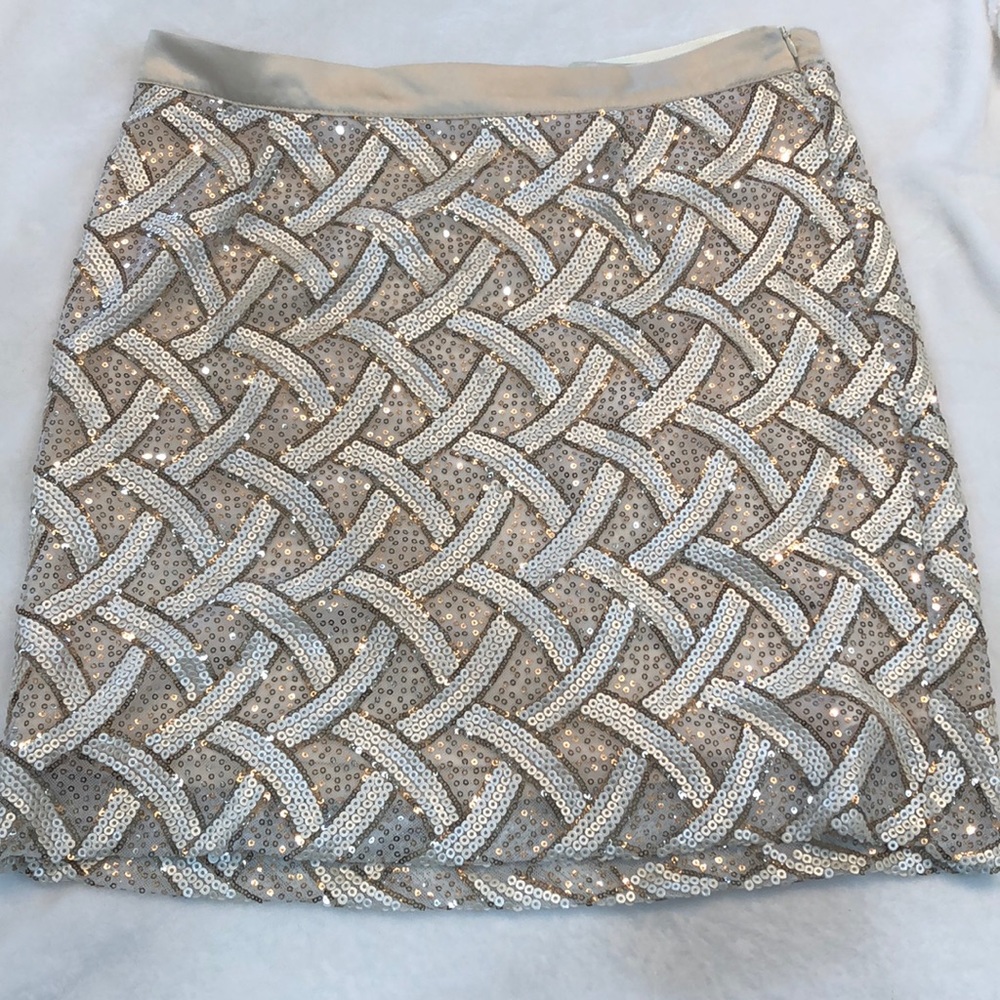 Gold Sequence Skirt